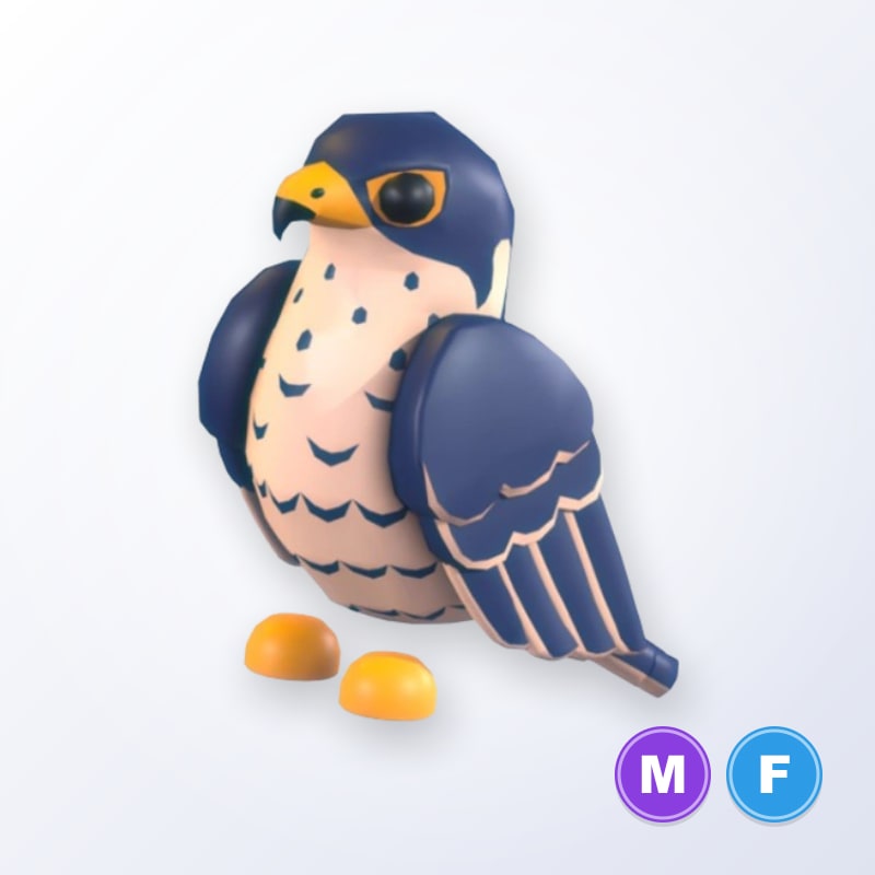 Peregrine Falcon MF | Adopt Me