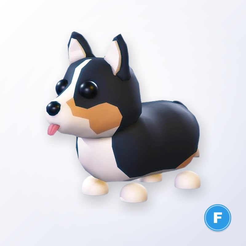 Royal Corgi F | Adopt Me