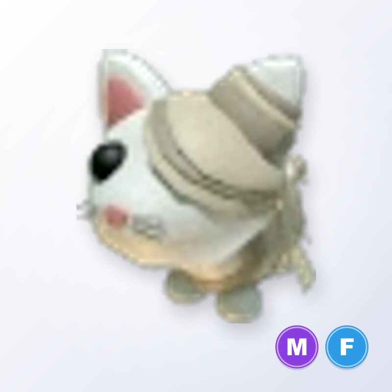 Halloween White Mummy Cat MF | Adopt Me