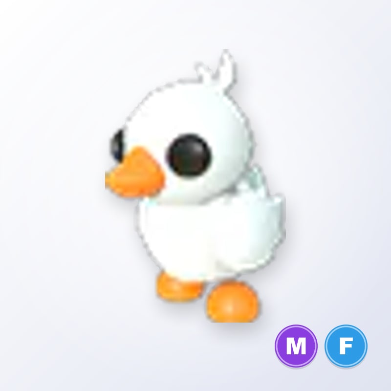 Happy Duckling MF | Adopt Me
