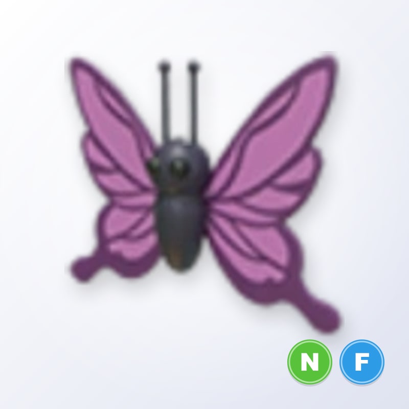 Purple Butterfly NF | Adopt Me