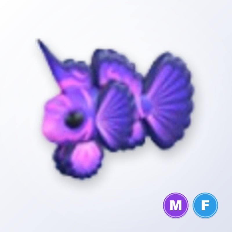 Singularity Pisces MF | Adopt Me
