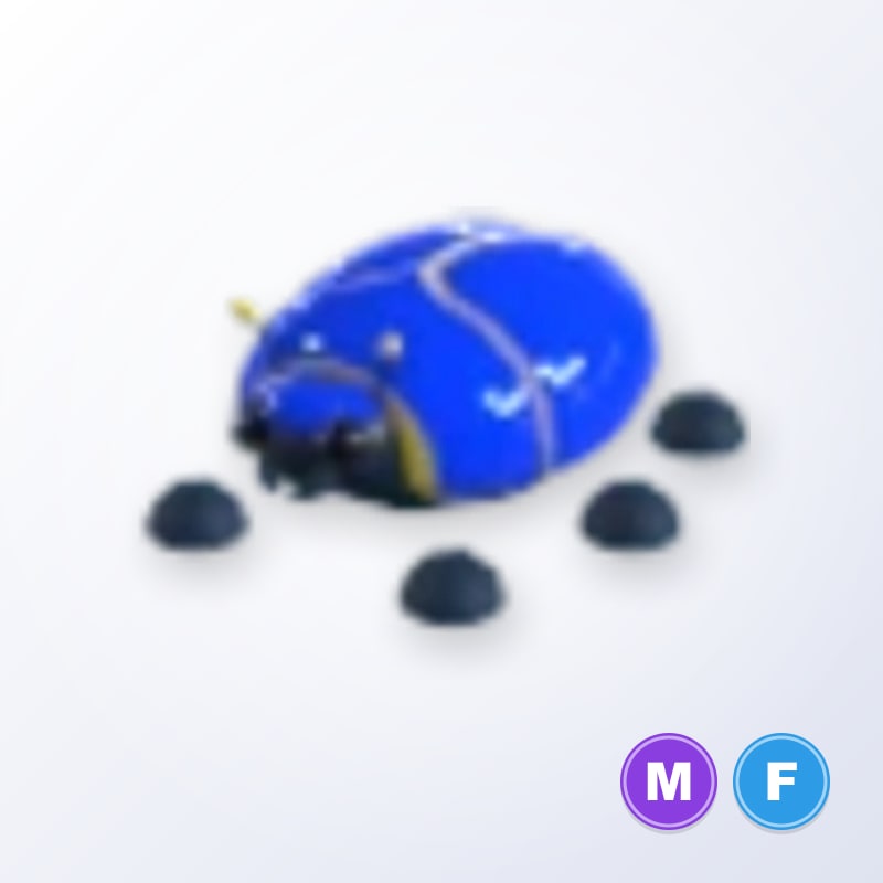 Giant Blue Scarab MF | Adopt Me