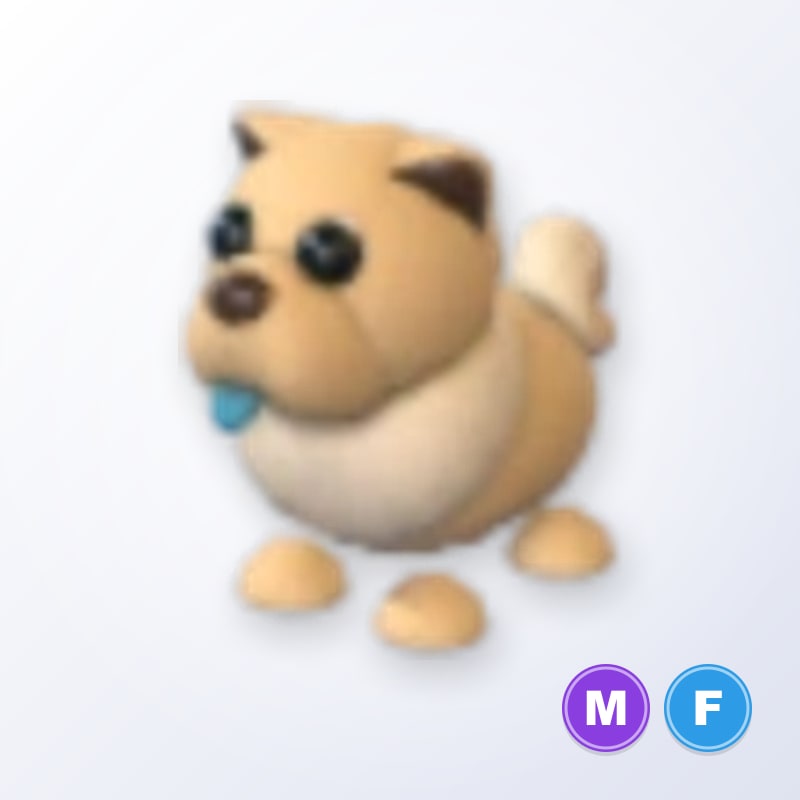 Tan Chow-Chow MF | Adopt Me