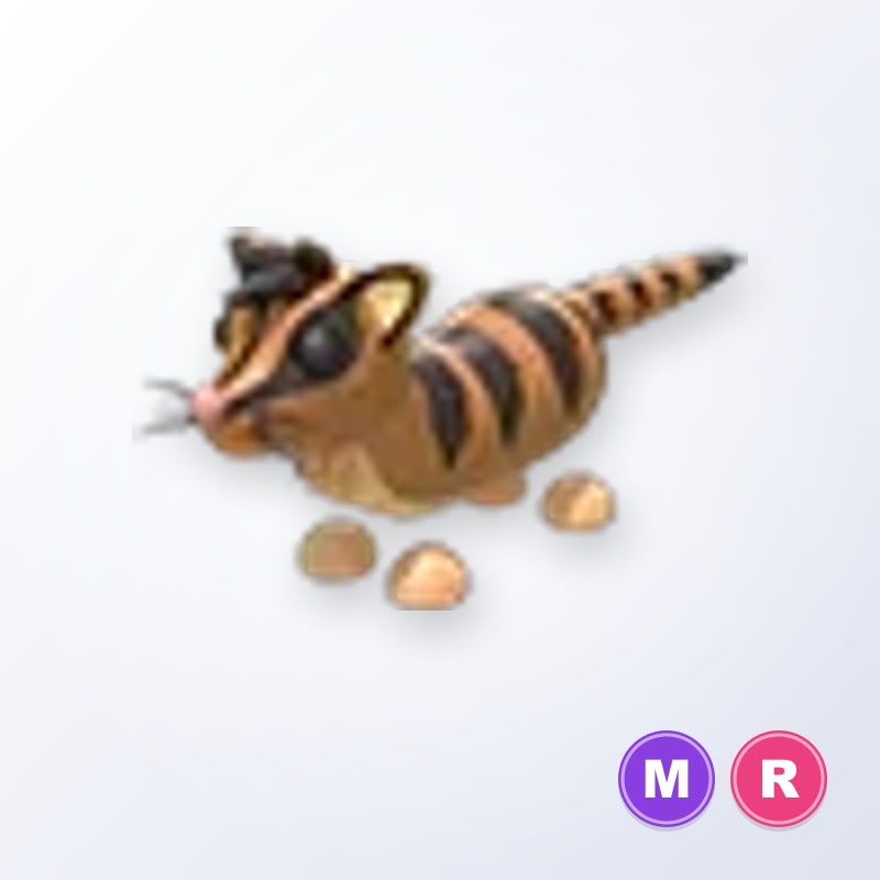 Banded Palm Civet MR | Adopt Me