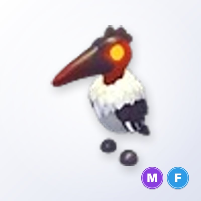 Marabou Stork MF | Adopt Me