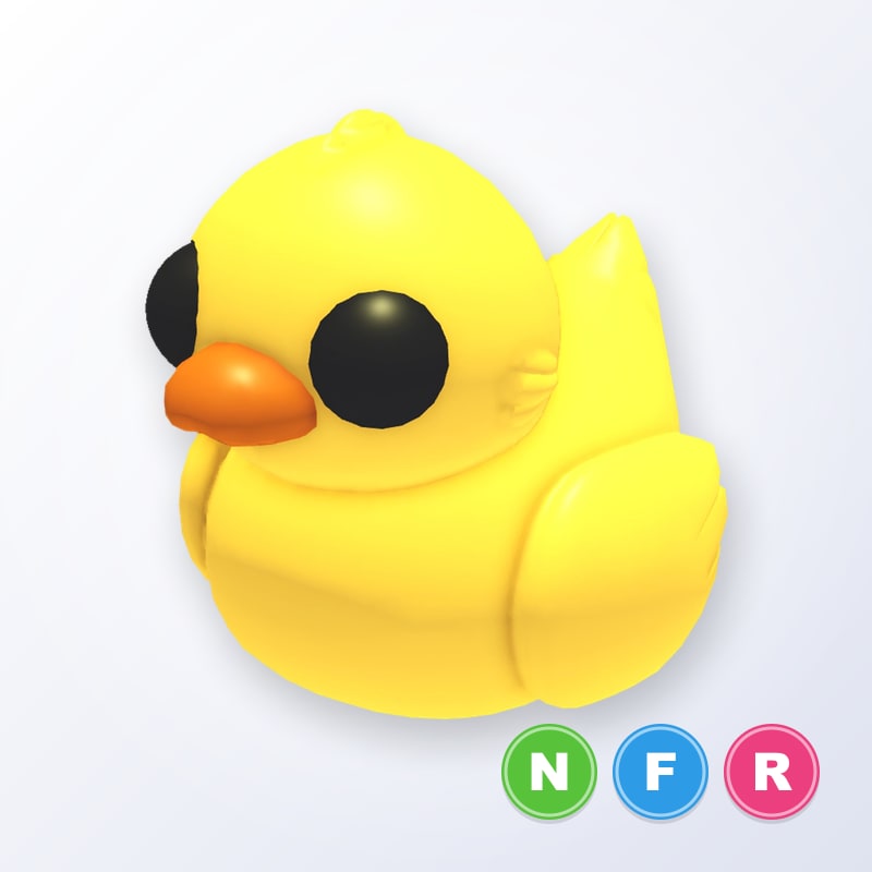 Rubber Ducky NFR | Adopt Me