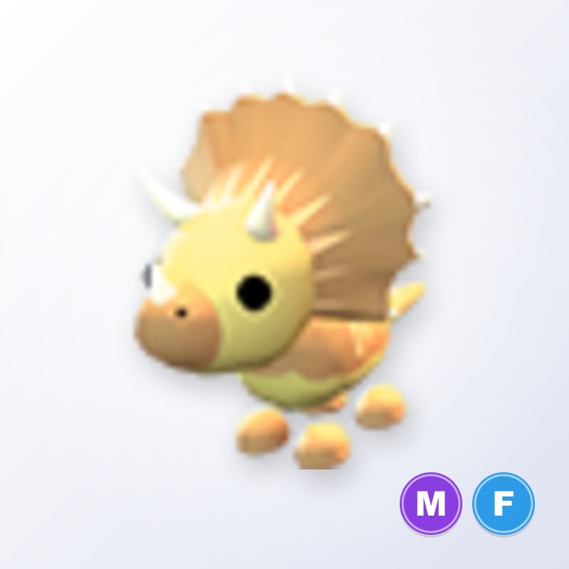 Triceratops MF | Adopt Me