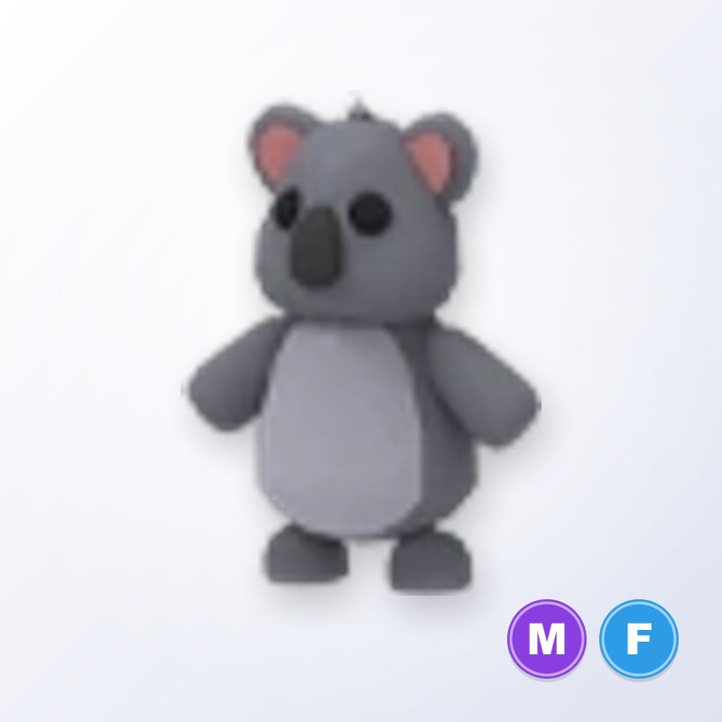 Koala MF | Adopt Me