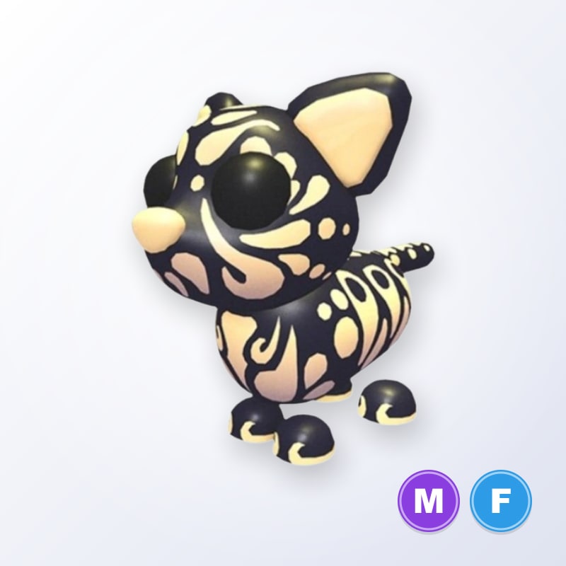 Golden Jaguar MF | Adopt Me