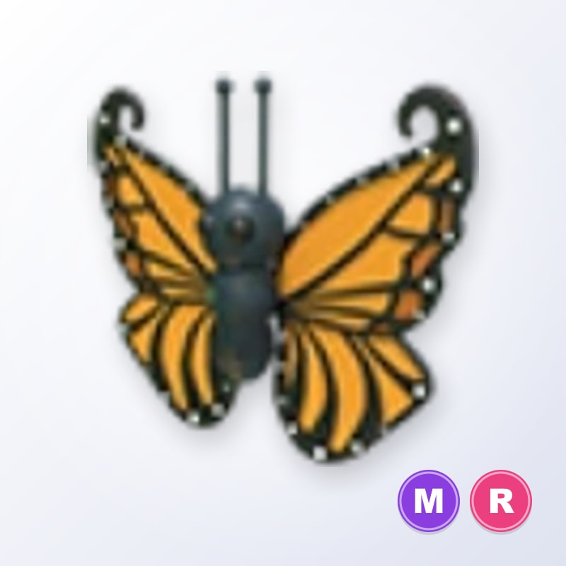 Orange Butterfly MR | Adopt Me