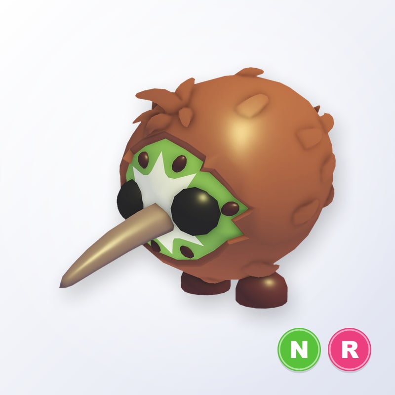 Kiwi Kiwi NR | Adopt Me