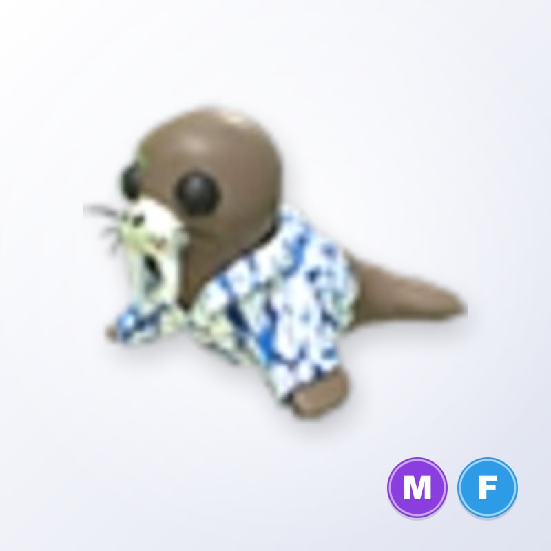 Summer Walrus MF | Adopt Me