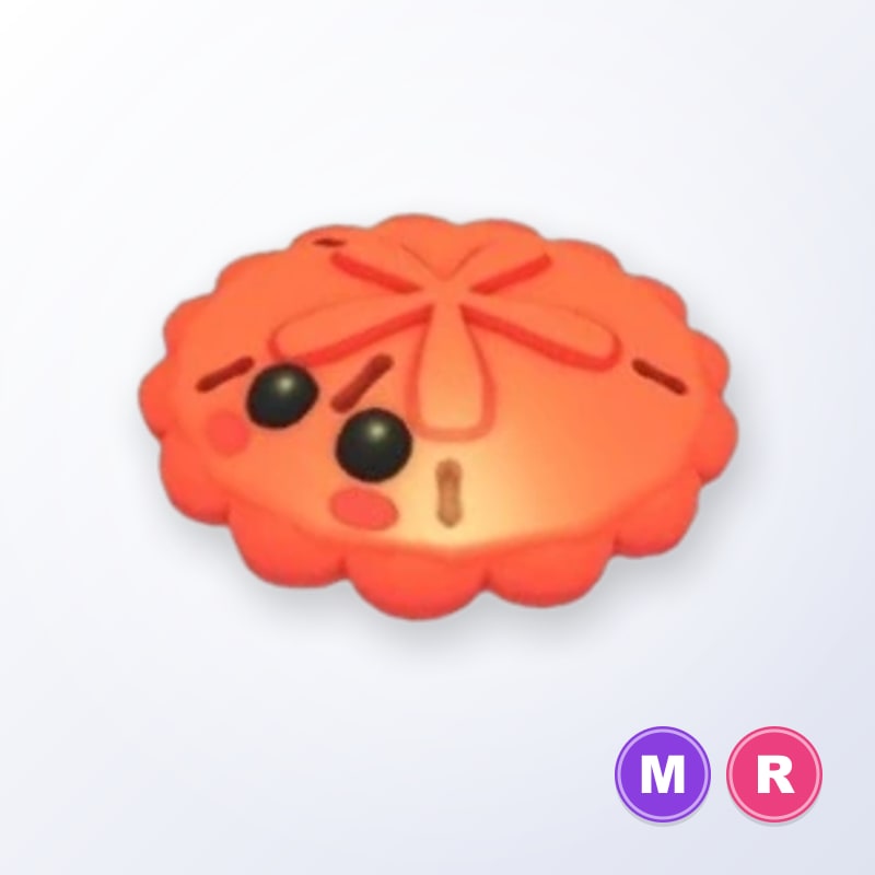 Red Sand Dollar MR | Adopt Me