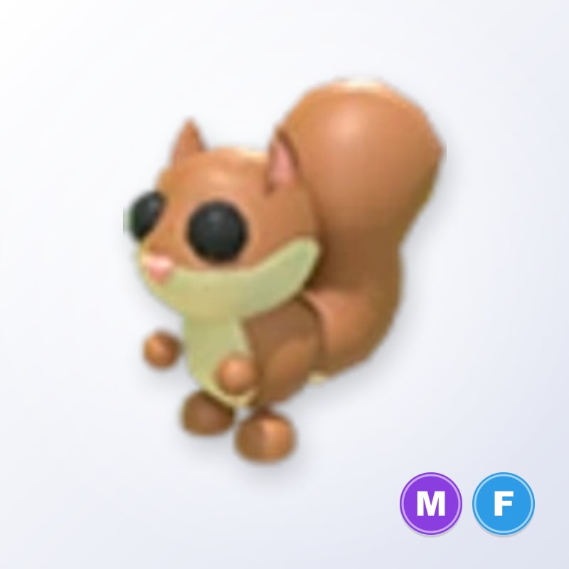 Red Squirrel MF | Adopt Me