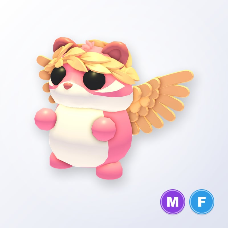 Cherub Chipmunk MF | Adopt Me