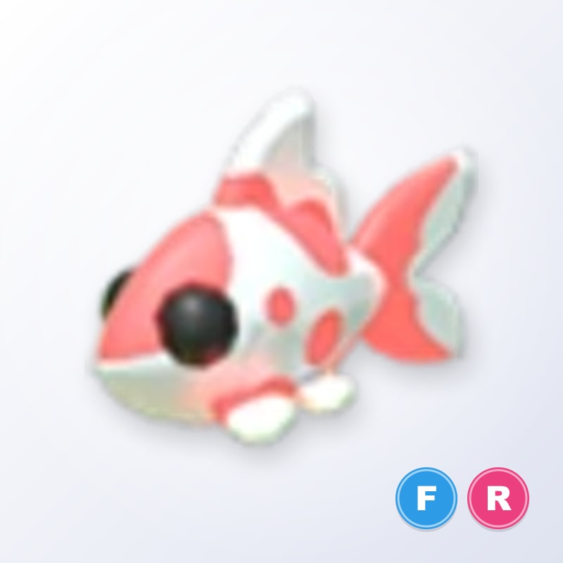Koi Carp FR | Adopt Me