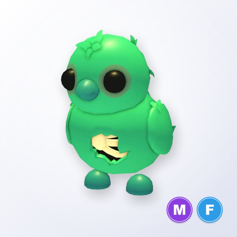 Zombie Chick MF | Adopt Me