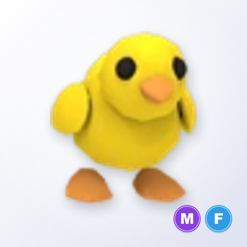 Chick MF | Adopt Me
