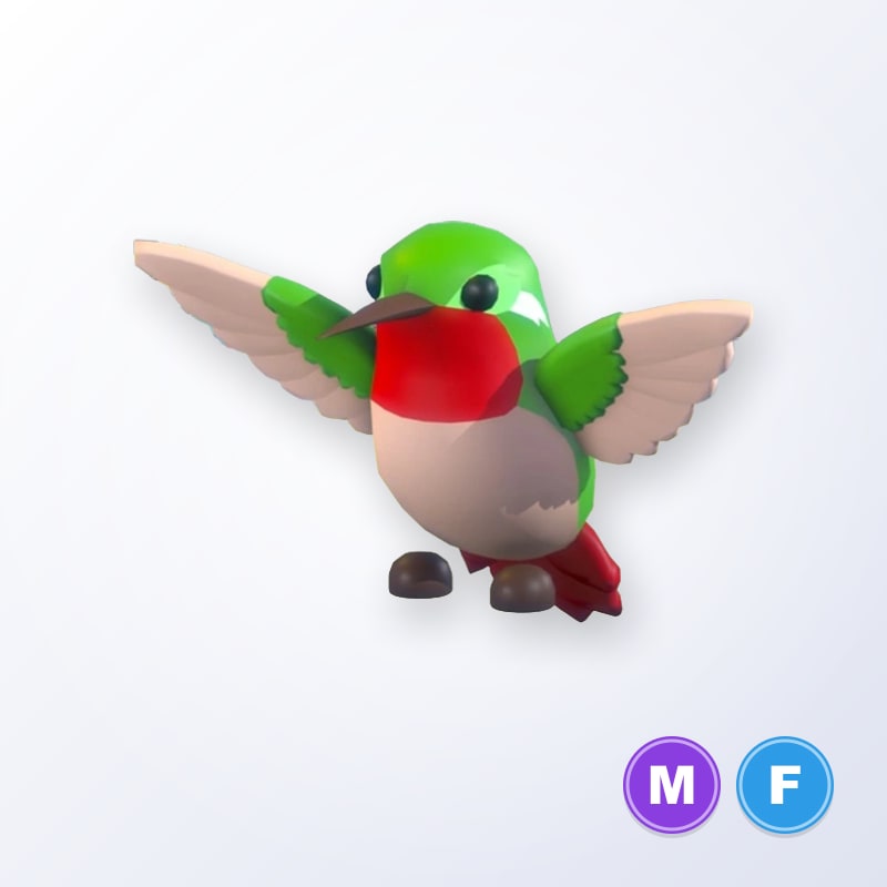 Hummingbird MF | Adopt Me