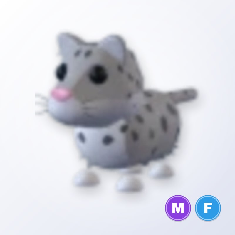 Snow Leopard MF | Adopt Me