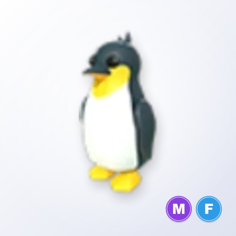 King Penguin MF | Adopt Me