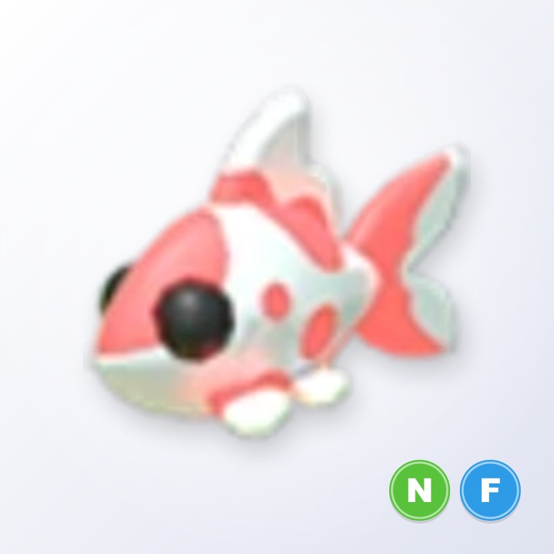 Koi Carp NF | Adopt Me
