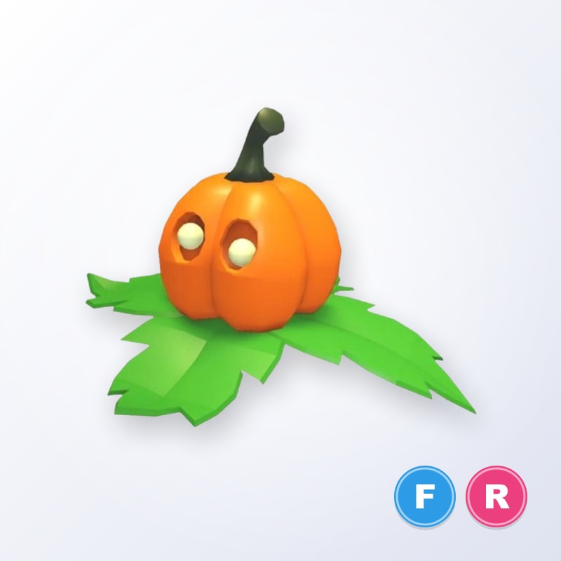 Pumpkin Friend FR | Adopt Me