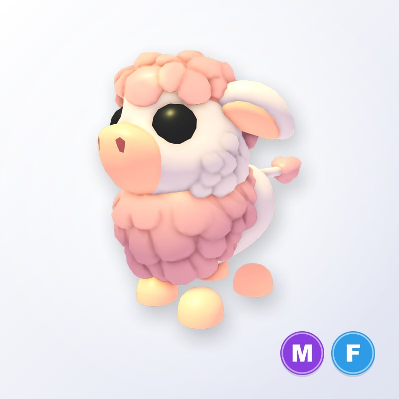 Angus Cow MF | Adopt Me