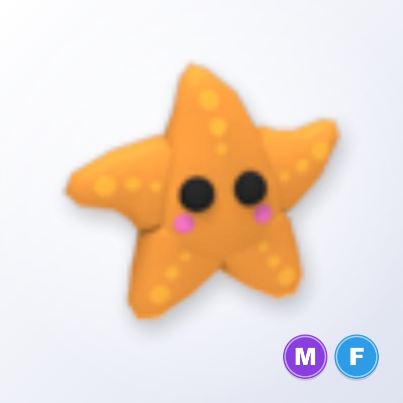 Starfish MF | Adopt Me