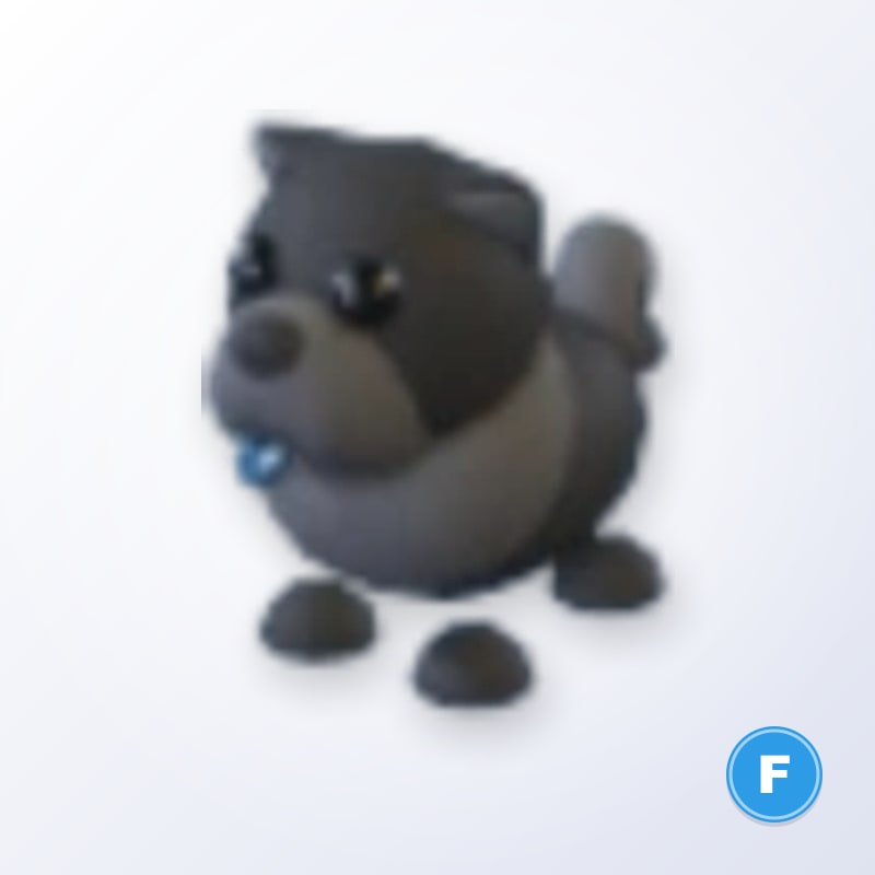 Black Chow-Chow F | Adopt Me