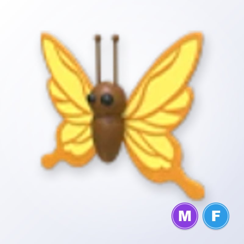 Yellow Butterfly MF | Adopt Me