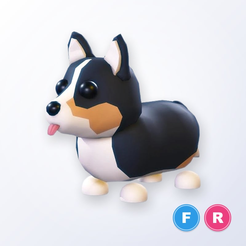 Royal Corgi FR | Adopt Me