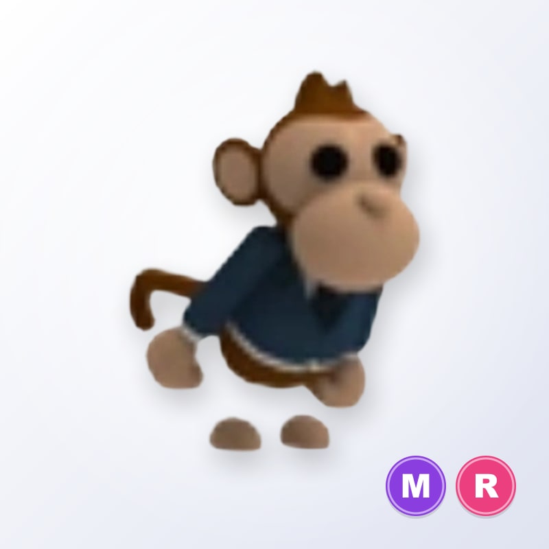 Business Monkey MR | Adopt Me