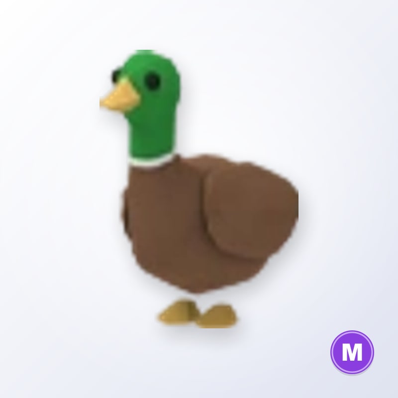 Drake M | Adopt Me