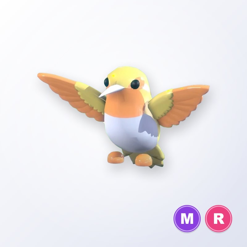 Golden Hummingbird MR | Adopt Me