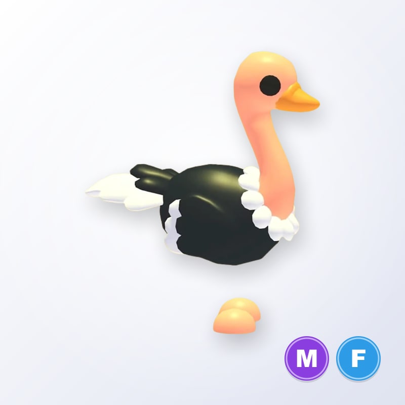 Ostrich MF | Adopt Me