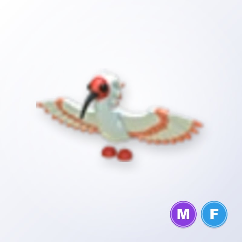 Ibis MF | Adopt Me