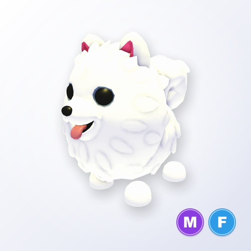 Samoyed MF | Adopt Me