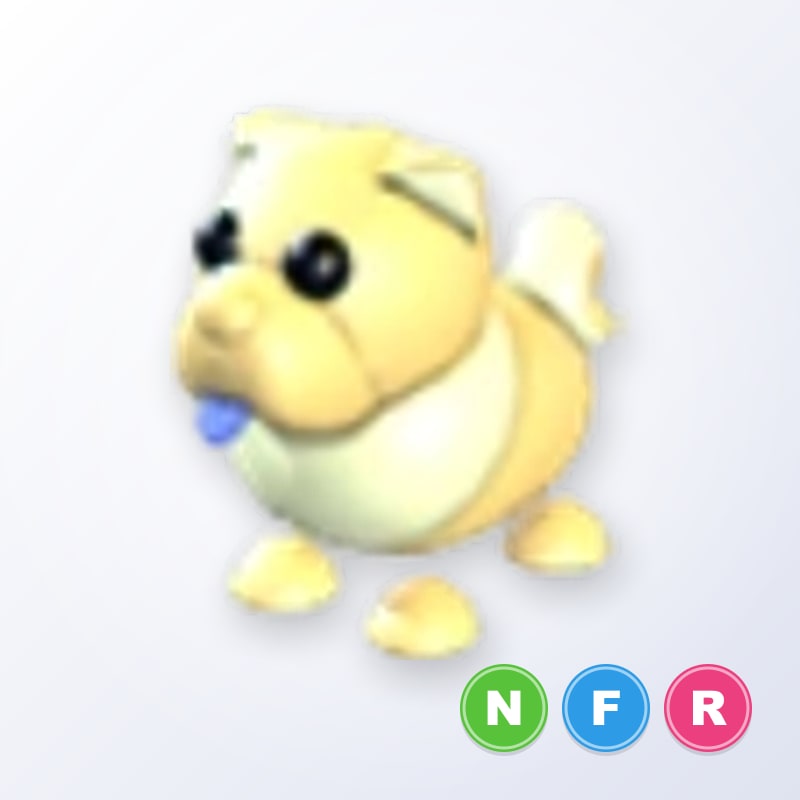 Golden Chow-Chow NFR | Adopt Me