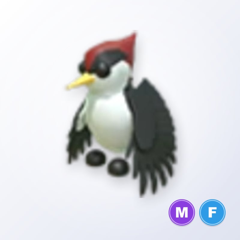 Woodpecker MF | Adopt Me