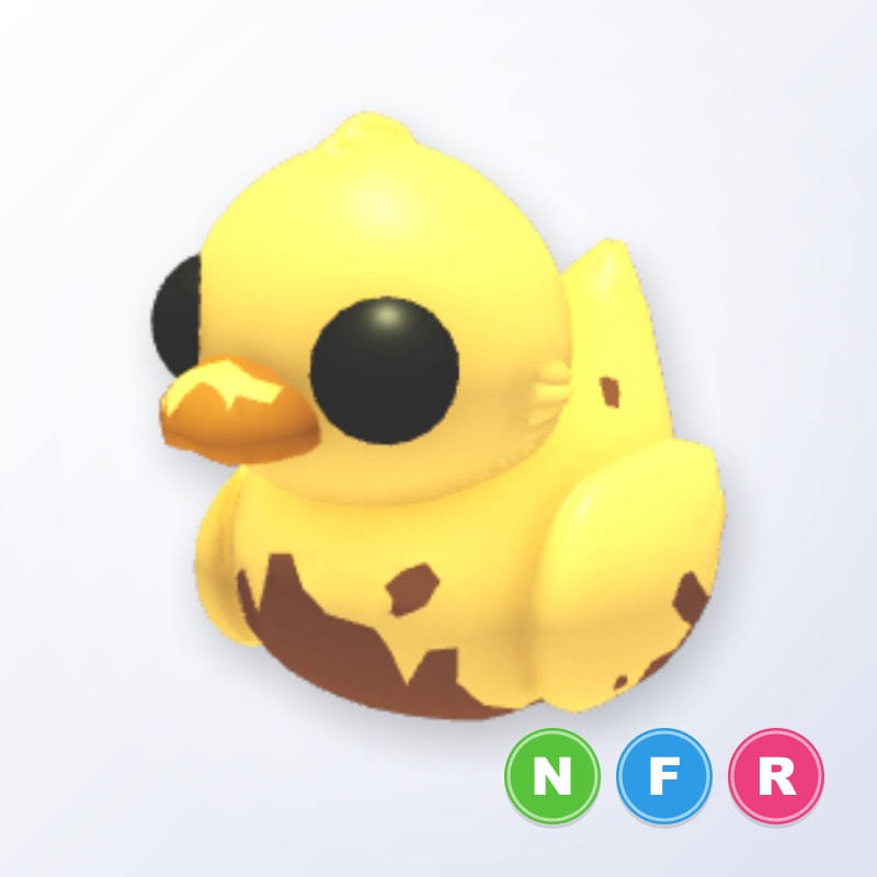 Dirty Ducky NFR | Adopt Me