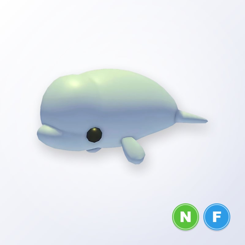 Beluga Whale NF | Adopt Me
