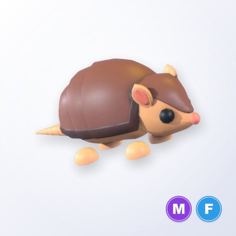 Armadillo MF | Adopt Me