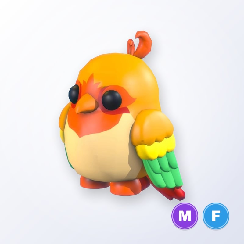 Love Bird MF | Adopt Me
