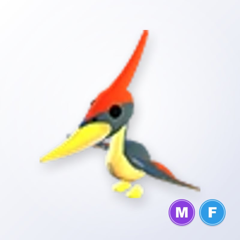 Pterodactyl MF | Adopt Me