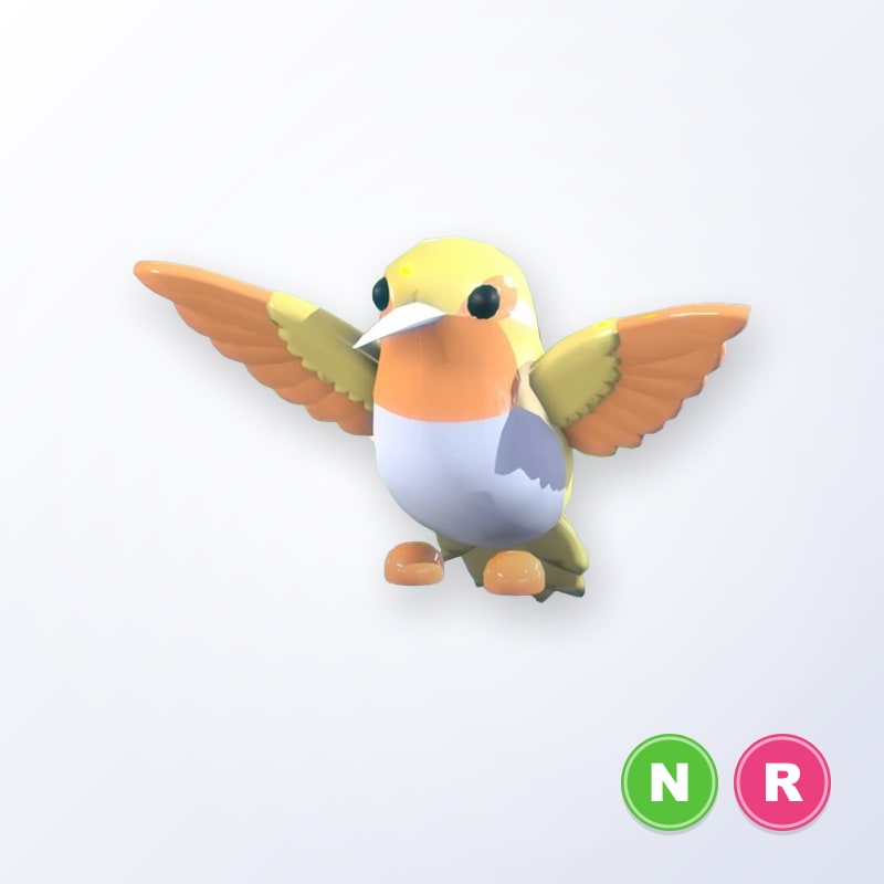 Golden Hummingbird NR | Adopt Me