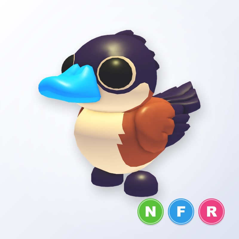Ruddy Duck NFR | Adopt Me