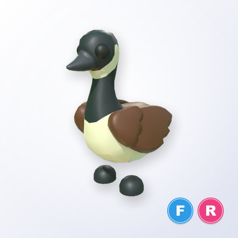 Canadian Goose FR | Adopt Me