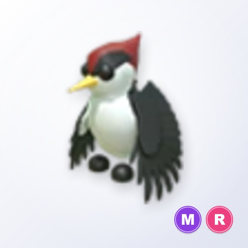 Woodpecker MR | Adopt Me
